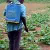 Bénin : L'État stoppe les activités phytosanitaires payantes de ses agents