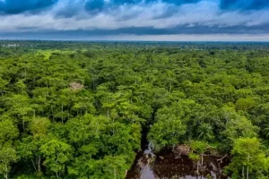 Bénin : Les forêts des Monts Kouffè et de Wari Maro passent sous statut de parc national