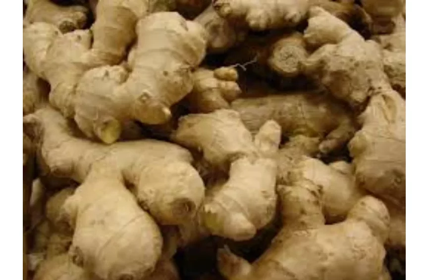 Bon à savoir : 05 aliments africains “super-héros” à mettre dans vos assiettes 