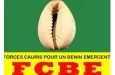 Bénin : liste des CV et CQ désignés par le parti FCBE dans le Borgou