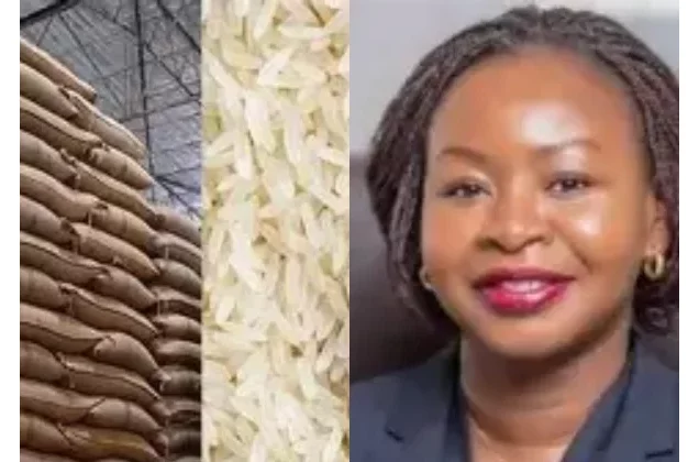 Bénin : les opérations de dédouanement du riz, désormais soumises à une autorisation annelle 