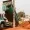 Bénin : dédommagement des personnes affectées par le projet d'aménagement de la route Banikoara-Kérémou-Frontière du Burkina Faso