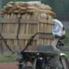 Bénin : un boulanger devant le juge pour outrage à agent dans l'exercice de ses fonctions