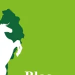 Élections communales de 2026 : après l'UP-R, le BR décroche son récépissé provisoire