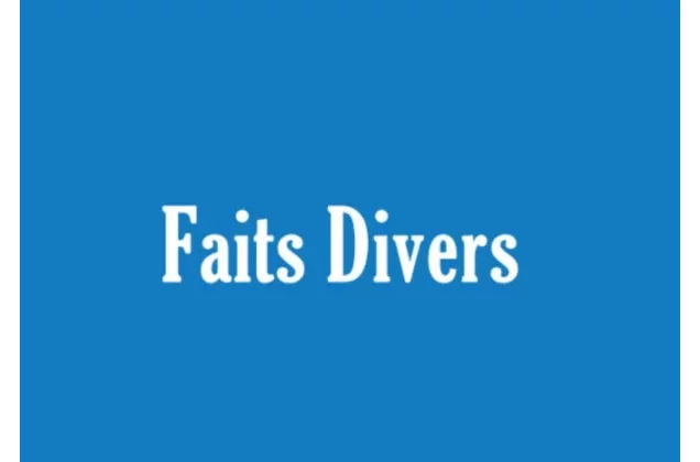 Bénin : la police détruit plus de 100 tonnes de stupéfiants à Ouèssè