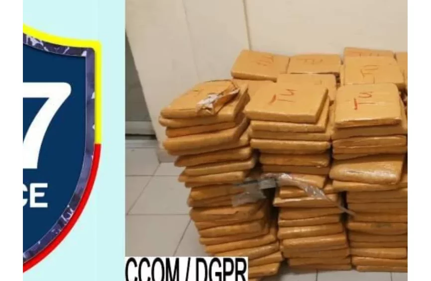 Bénin : 502 plaquettes de chanvre découvertes dans un camion à Malanville 