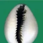 Voici le projet du duo Hounkpè-Hounwanou pour l'agriculture, l'industrialisation et la croissance économique