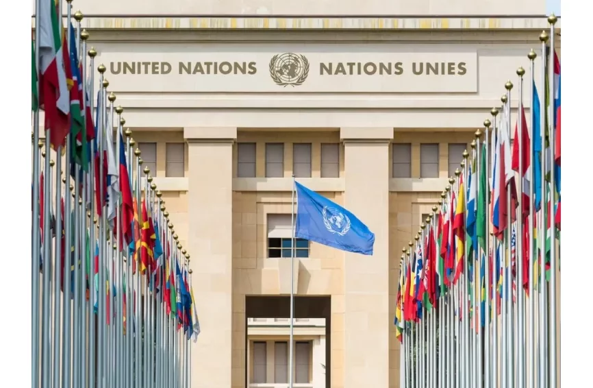 ONU : deux (02) pays africains élus au Conseil de sécurité