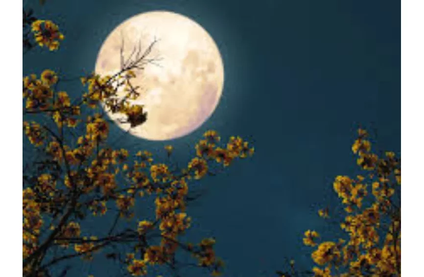 Pleine Lune du mois de juillet 2025 : une impulsion décisive pour ces 03 signes du zodiaque 