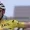 Critérium du Dauphiné 2025 : Tadej Pogacar, vainqueur en solitaire de la 7e étape devant Vingegaard