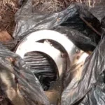 Bénin : deux évadés du commissariat de Lalo repris à Bohicon