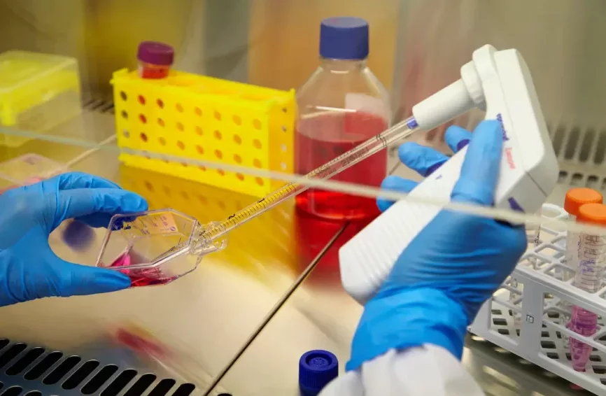 Le Bénin bientôt doté d'un laboratoire national d'analyse ADN autonome