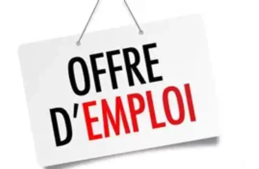Emploi au Bénin : le PSIE recrute 90 jeunes dans 8 communes 