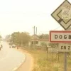 Dogbo : 5 personnes interpellées pour escroquerie en ligne