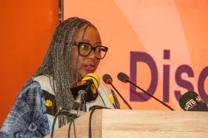 Bénin : l'INF lance la campagne nationale des 16 jours d'activisme contre les violences basées sur le genre