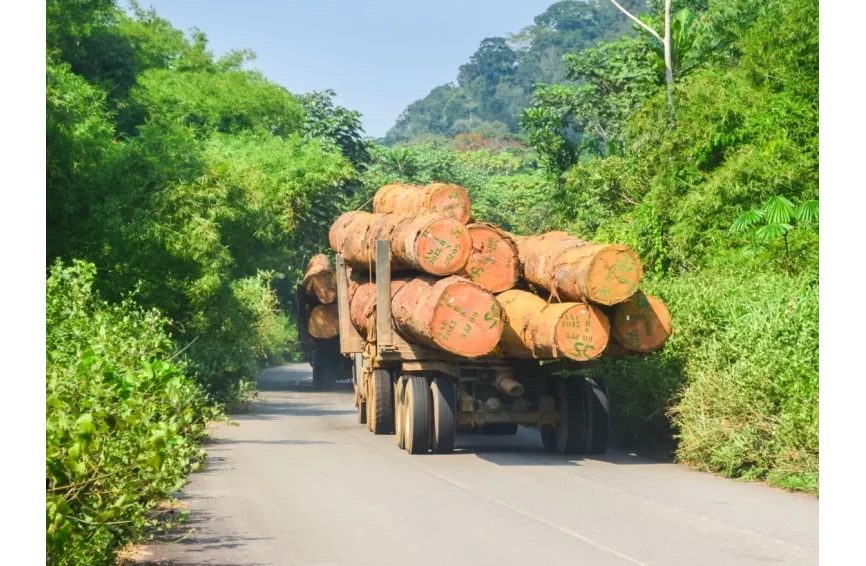 création de la Société de Développement Forestier (SODEF S.A)