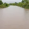 N'Dali-Djougou : le fleuve Yéroumarou sorti de son lit, rend l'axe impraticable