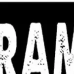 Zè : pour une affaire d'héritage évalué à 4 millions F CFA, il tue son frère et l'enterre dans son champ (les faits)