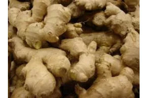 Bon à savoir : 05 aliments africains “super-héros” à mettre dans vos assiettes 