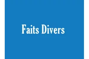 Bénin : la police détruit plus de 100 tonnes de stupéfiants à Ouèssè