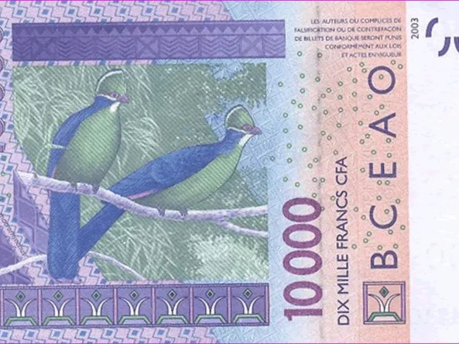 Bénin : Il vote 42 fois après avoir glissé 10.000 FCFA au président d'un poste de vote