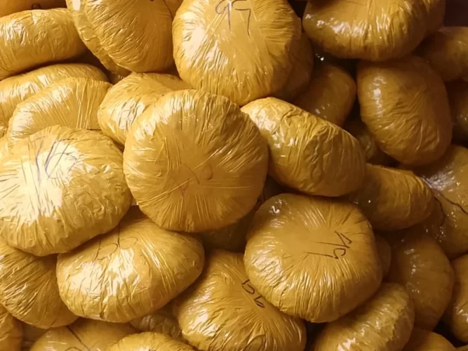 Savalou : exploit du commissaire Ogougbé et ses hommes, 140 plaquettes de chanvre indien saisies à Tchètti