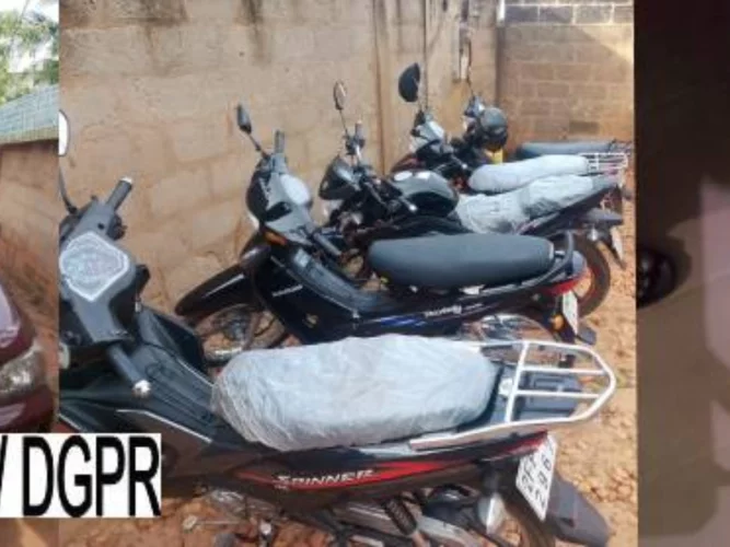 Couffo : un réseau de vendeurs d'œufs de caméléons et de serpents aux pouvoirs magiques débusqué, 2 millions FCFA, 8 téléphones et des motos saisis par la police