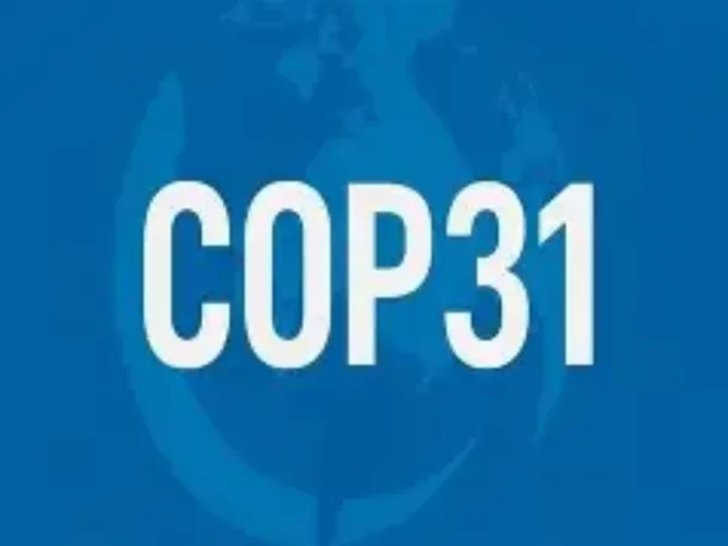 COP31 : l'appel à candidatures pour la sélection des jeunes délégués béninois lancé 