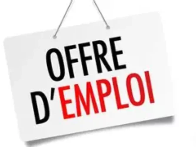 Emploi au Bénin : le PSIE recrute 90 jeunes dans 8 communes 