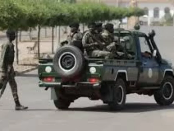 Coup d'Etat en Guinée-Bissau : l'opposition dénonce un « deux poids deux mesures » de la Cédéao 