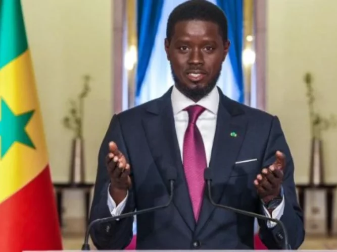 Sénégal : Les nominations en conseil des ministres du Mercredi 12 Novembre 2025