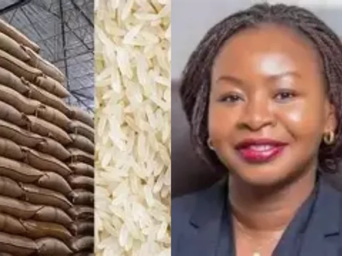 Bénin : les opérations de dédouanement du riz, désormais soumises à une autorisation annelle 