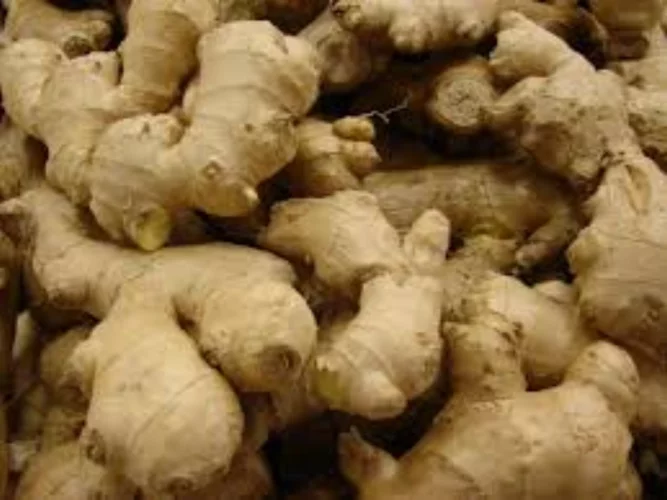 Bon à savoir : 05 aliments africains “super-héros” à mettre dans vos assiettes 