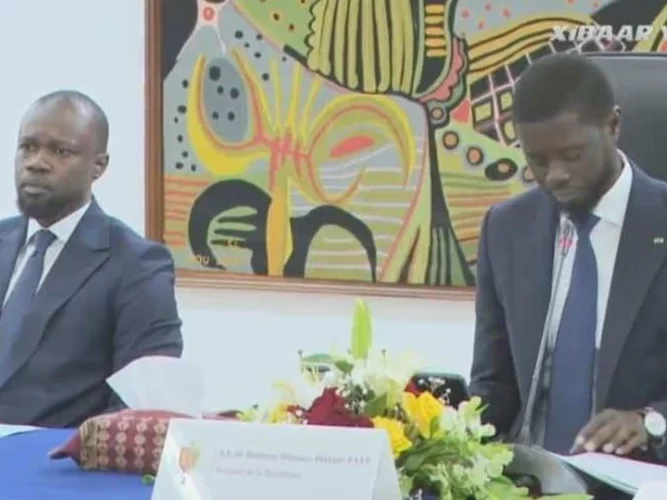 Ousmane Sonko candidat à la présidentielle en 2029 ? Nouveau rebondissement dans son dossier